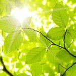 宗教法人様の退職金と保障