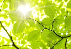 宗教法人様の退職金と保障